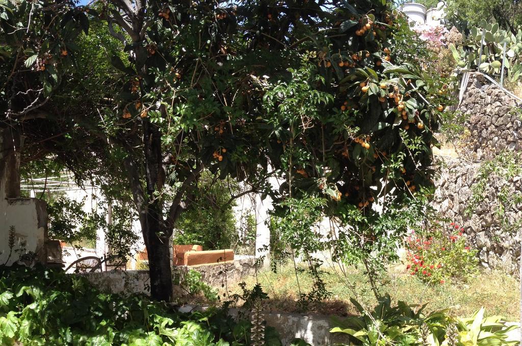 Casa Del Caminero En Tejeda Pensionat Exteriör bild